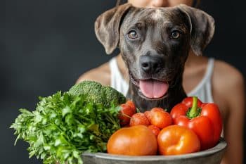 6 Natural Foods to Help Your Dog Detox from Everyday Toxins