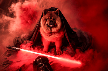 9 Dog Breeds That Have the Ultimate Sith Lord Energy
