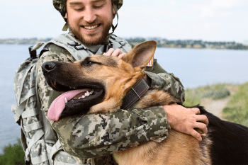 Top 11 Dog Breeds That Have Been Loyal Companions to Military Leaders