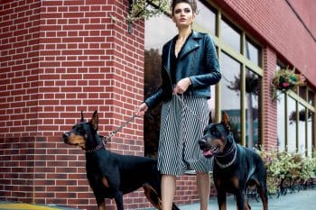 11 Dog Breeds That Have Been More Useful To Humans Than Any Other Animals