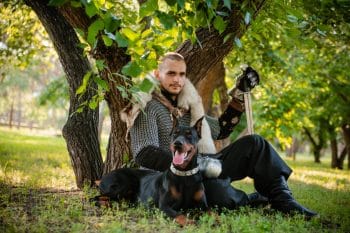 Top 9 Dog Breeds That Would Have Been the Best Battle Companions for Knights