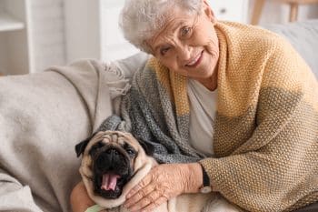 15 Best Senior-Friendly Dog Breeds For A Relaxing Life Together