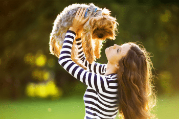 15 Best Therapy Dog Breeds That Are Natural Healers