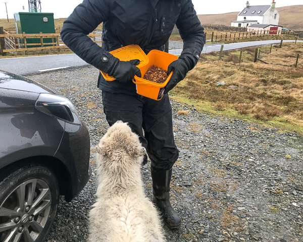 Edna and Madge’s Arrival