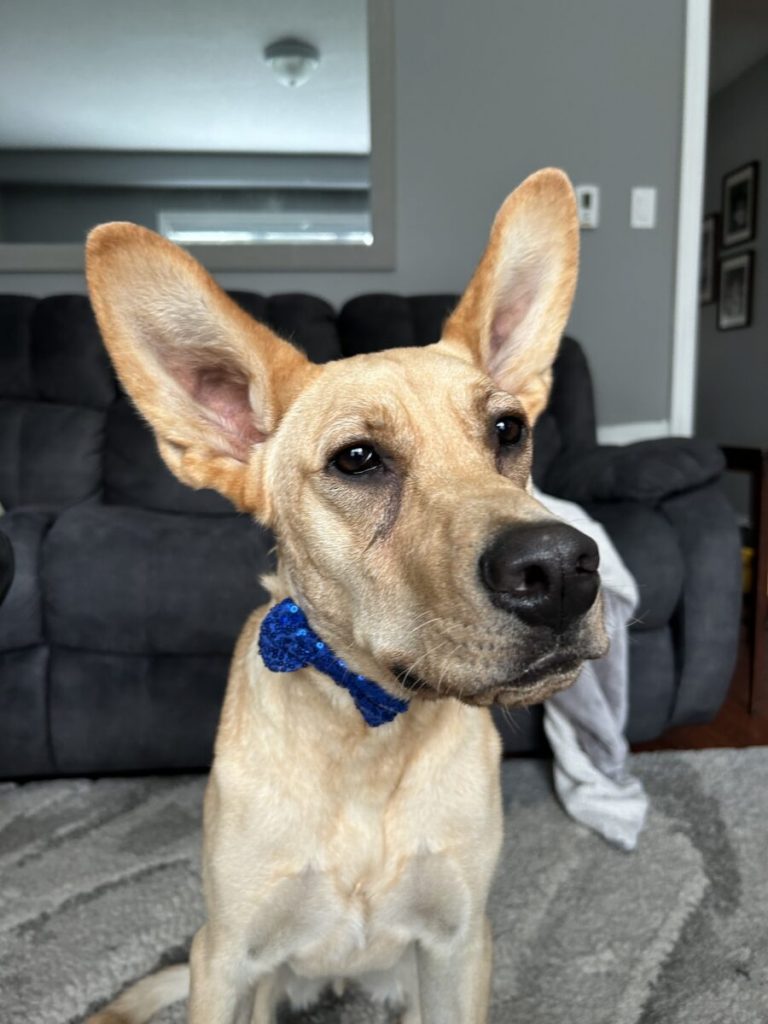 Marty’s miracle comeback leads to a new lease on life