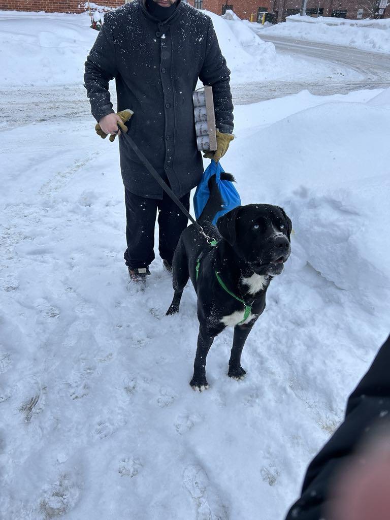 Pawsitive Packs initiative keeps pets and people together