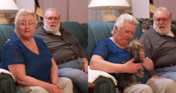 Puppy Surprise on Christmas Morning Fills Mom’s Heart With Joy