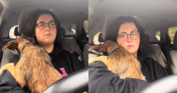 Heartbreaking Story of an Abandoned Dog’s Fear of Car Rides