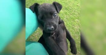 She Wasn’t Expecting to Find a Life Hiding Near That Dumpster
