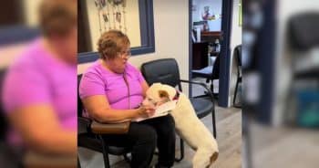 She Went From Waiting in a Kennel to Walking Into Her New Life