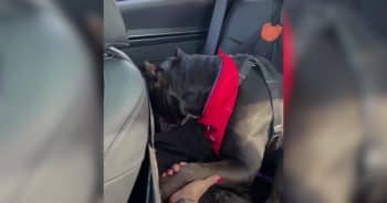 They Prepared for Her Goodbye, But Life Had One More Surprise