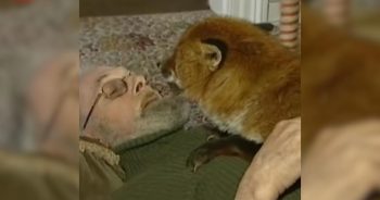 They Met by Chance on the Roadside. Now They’re Family