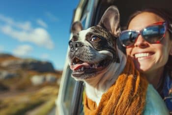 13 Dog Breeds That Shared Your First Kiss, First Job, And First Road Trip