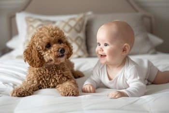 Top 13 Dog Breeds That Were There The Day You Took Your First Steps