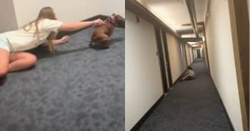 Dog Goes Wild With Zoomies in Hallway & Hits Full Speed Mode
