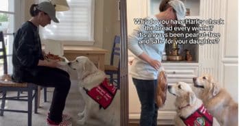 Hero Dog Sniffs Out Danger in Amazing Allergy Alert Video