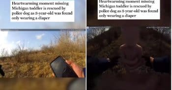 Police Dog Saves Lost Toddler in Heartwarming Body Cam Moment