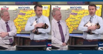 Weatherman Brings His Cat to Work While Covering Big Storm