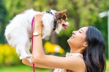 15 Loyal Dog Breeds That Form Deep One-on-One Bonds