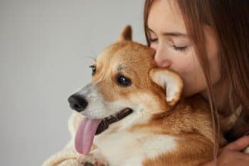 11 Top Dog Breeds That Make the Best Emotional Support Companions
