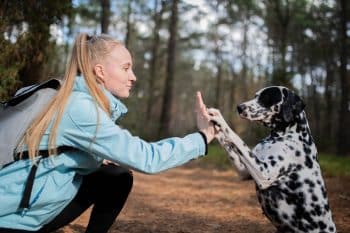 13 Dog Breeds Born for Weekend Action