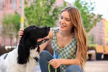 13 Top Considerate Dog Breeds That Adjust to Your Mood