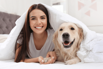 9 Ultimate Astute Dog Breeds That Catch On Instantly