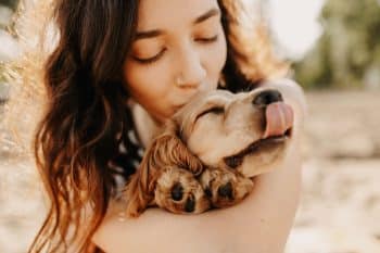 15 Caring Dog Breeds That Bond Closely With One Person