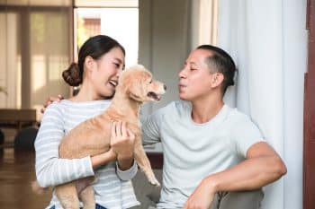 15 Family-Loving Dog Breeds That Treat Friends Like Family