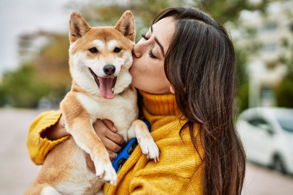 15 Devoted Dog Breeds That Form Deep One-on-One Bonds