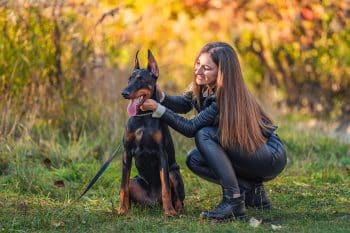 9 Disciplined Dog Breeds That Thrive In Structured Environments