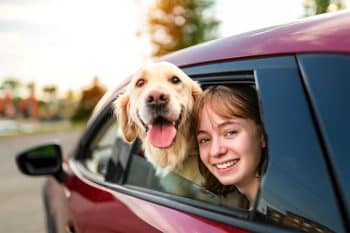 13 Travel-Savvy Dog Breeds That Handle Travel Like Pros