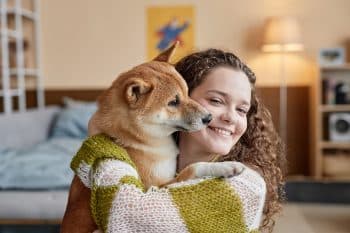 13 Orderly Dog Breeds That Thrive in Well-Structured Homes