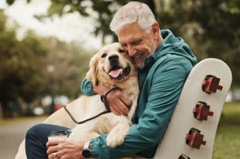 13 Calm Dog Breeds That Pair Well With Active Retirees