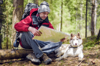 Top 15 Dog Breeds That Have Been Traveling the World With Humans for Thousands of Years