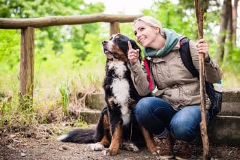 15 Adventure-Ready Dog Breeds Built For The Trail