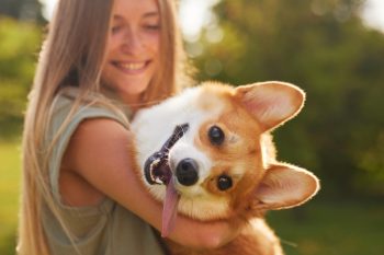 15 Silly Dog Breeds That Unleash Your Inner Kid