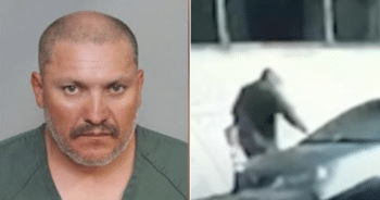 Man Arrested After Surveillance Links Him to Cat Deaths