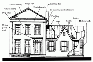 Animal Inspection and Removal Near Me