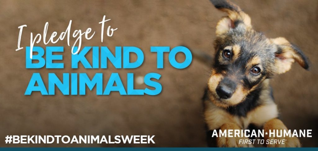 Be Kind to Animals Week – First week of May