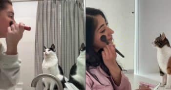 When Your Cat Just Wants to Be One of the Girls Getting Ready