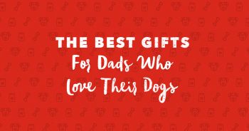 The Best Gifts for Dads Who Love Their Dogs