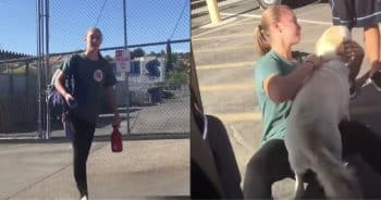 Girl Cries Happy Tears After Seeing Her Guide Dog Again