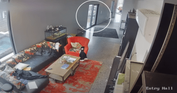 Home Intruder ‘Meets His Match’ When He Goes In The Side Door