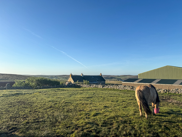 To the Airport (again)