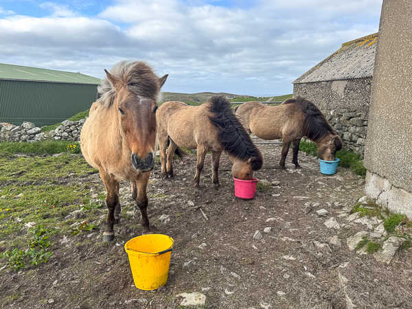 Another Morning in Town