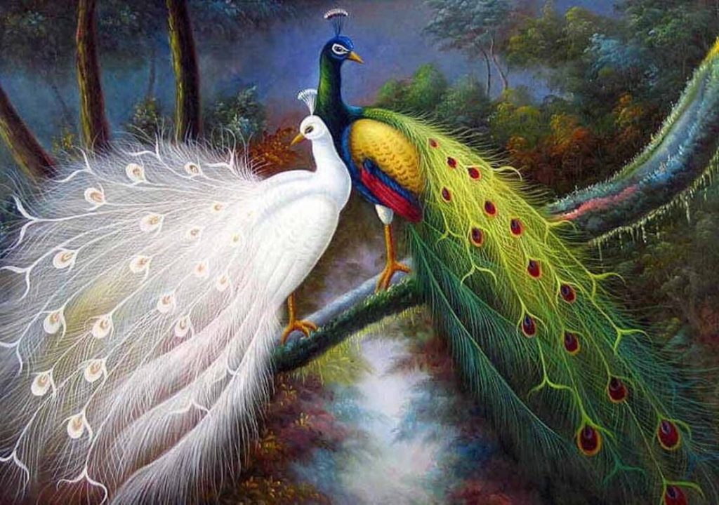 Beyond Beauty: The Spiritual Awakening Hidden in Dead Peacock Symbolism