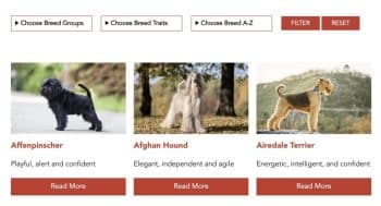 iHeartDogs Launches the Ultimate Guide to 200+ Dog Breeds, a Comprehensive Resource for Dog Lovers Everywhere