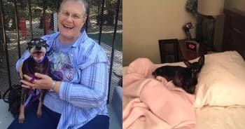 Woman Asks for the Shelter’s Saddest Dog — And They Knew Just the One