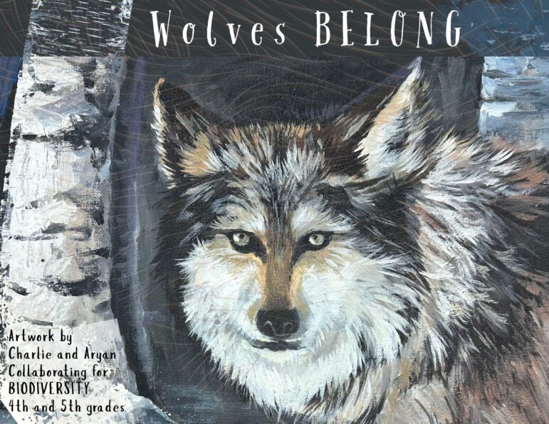 Postcards to Policymakers Launch